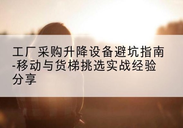 连平移动式升降机怎么选-工厂采购升降设备避坑指南-移动与货梯挑选实战经验分享