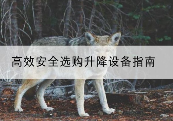 连平升降货梯厂家推荐-*安全选购升降设备指南