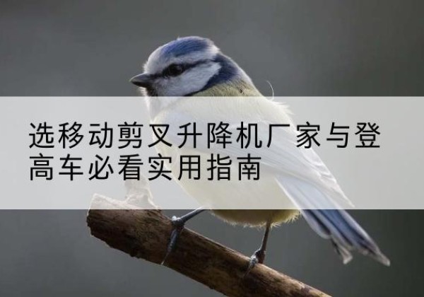 连平电动升降机厂家-选移动剪叉升降机厂家与登高车必看实用指南