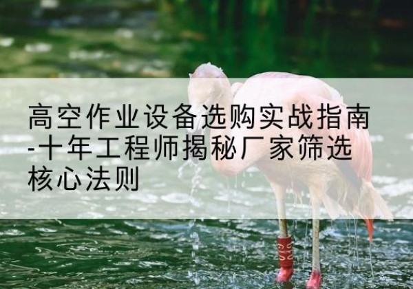 连平剪叉式升降机厂家-高空作业设备选购实战指南-十年工程师揭秘厂家筛选核心法则